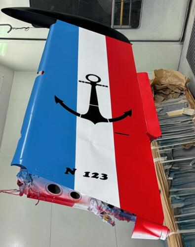MS 733 n°123, Chateauroux-Villiers (G. Corentin, avril 2025)