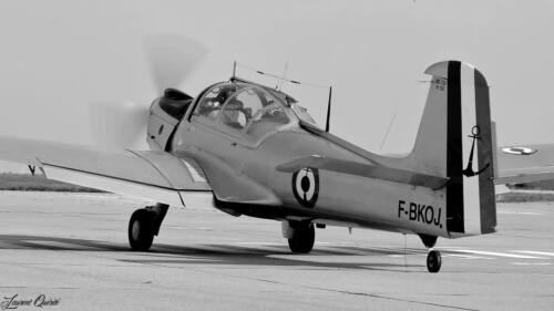 MS 733 n°138, F-BKOJ (L. Querité, 2025)
