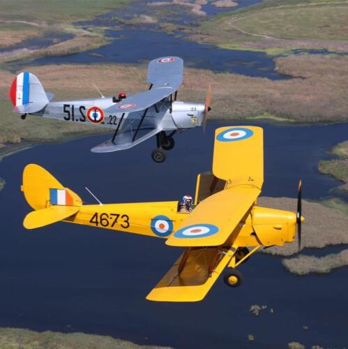 Stampe n°1061, et DH 82A Tiger Moth de la Classics Flying Collection (Springs, Afr. du Sud)
